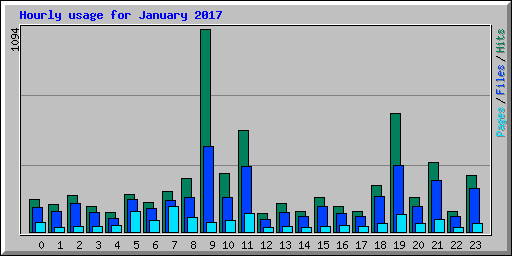 Hourly usage for January 2017
